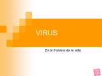 virus - Educarm