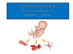 Diapositiva 1 - Colegio Santa Sabina