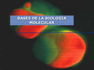 bases de la biología molecular