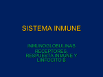 sistema inmune 3