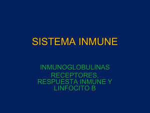 sistema inmune 3