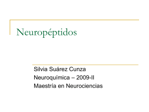 Neuropéptidos