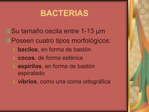 bacterias - IES León Felipe