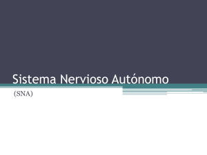 Sistema Nervioso Central