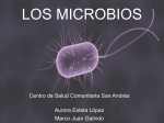 los microbios