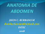 anatomia de abdomen