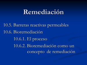 Remediación - mmc.geoFÍSICA.unam.mx.
