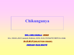 Chikungunya in Spanish