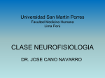 teoria neurofisiológica