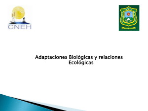 adaptacion biologica
