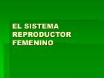 SISTEMA REPRODUCTOR FEMENINO