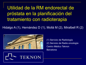 rm_endorectal_bilbao_2004
