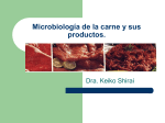 Microbiología de la carne y sus productos.