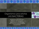 Bacterias - IHMC Public Cmaps (3)