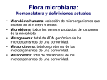 tema_43_microbiota humana