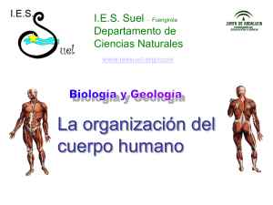 Diapositiva 1 - Mestre a casa