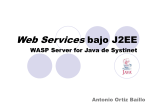 WASP Server for Java de Systinet