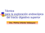 La exploración endoscópica del tracto digestivo superior