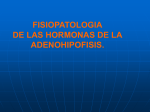 FISIOPATOLOGIA DE LAS HORMONAS DE LA ADENOHIPOFISIS.