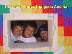 Iniciativa niñez indígena andina