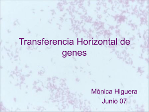 Higuera, Mónica: Transferencia horizontal