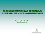 Diapositiva 1 - Promamazonia