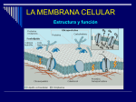 Membrana Celular 2008