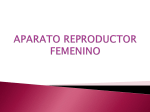 APARATO REPRODUCTOR FEMENINO