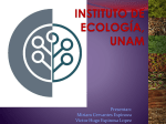 Instituto de Ecologia, UNAM*