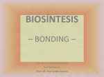Biosíntesis - SchoolBiosynthesis
