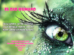 el ojo humano