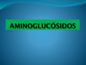 aminoglicosidos-ag-12