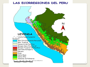 las ecorregiones del peru