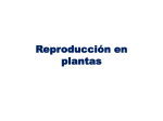 Reproducci&oacute;n en plantas