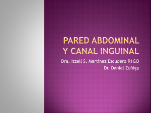 Pared abdominal y canal inguinal