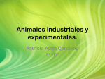Animales industriales y experimentales.