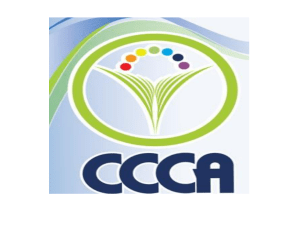 Señores Auditores interno y Externo, en