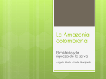 La Amazonía colombiana
