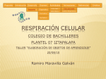 Respiración celular - Repositorio CB