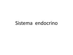 Sistema endocrino - Colegio Los Aromos
