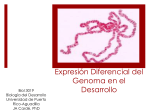 Desa_4_Expres_Dif_1