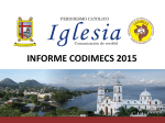 Informe CODIMECS 2015