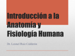 Introducción a la Anatomía y Fisiología Humana