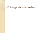 Fisiologia. Sistema Cardiovascular 2