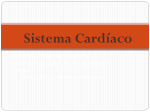 Sistema Cardíaco -Mediastino, Pericardio y Corazón.