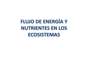 FLUJO DE ENERGÍA Y NUTRIENTES EN LOS ECOSISTEMAS