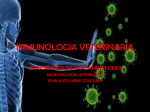 el sistema inmune - John Jairo Uribe Gonzalez