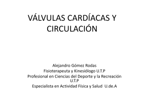 válvulas cardíacas y circulación