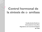 Control hormonal de la síntesis de *- amilasa