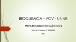 BIOQUIMICA * FCV